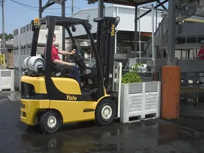 A gas-powered Yale forklift lifting a plant container on a wet surface.